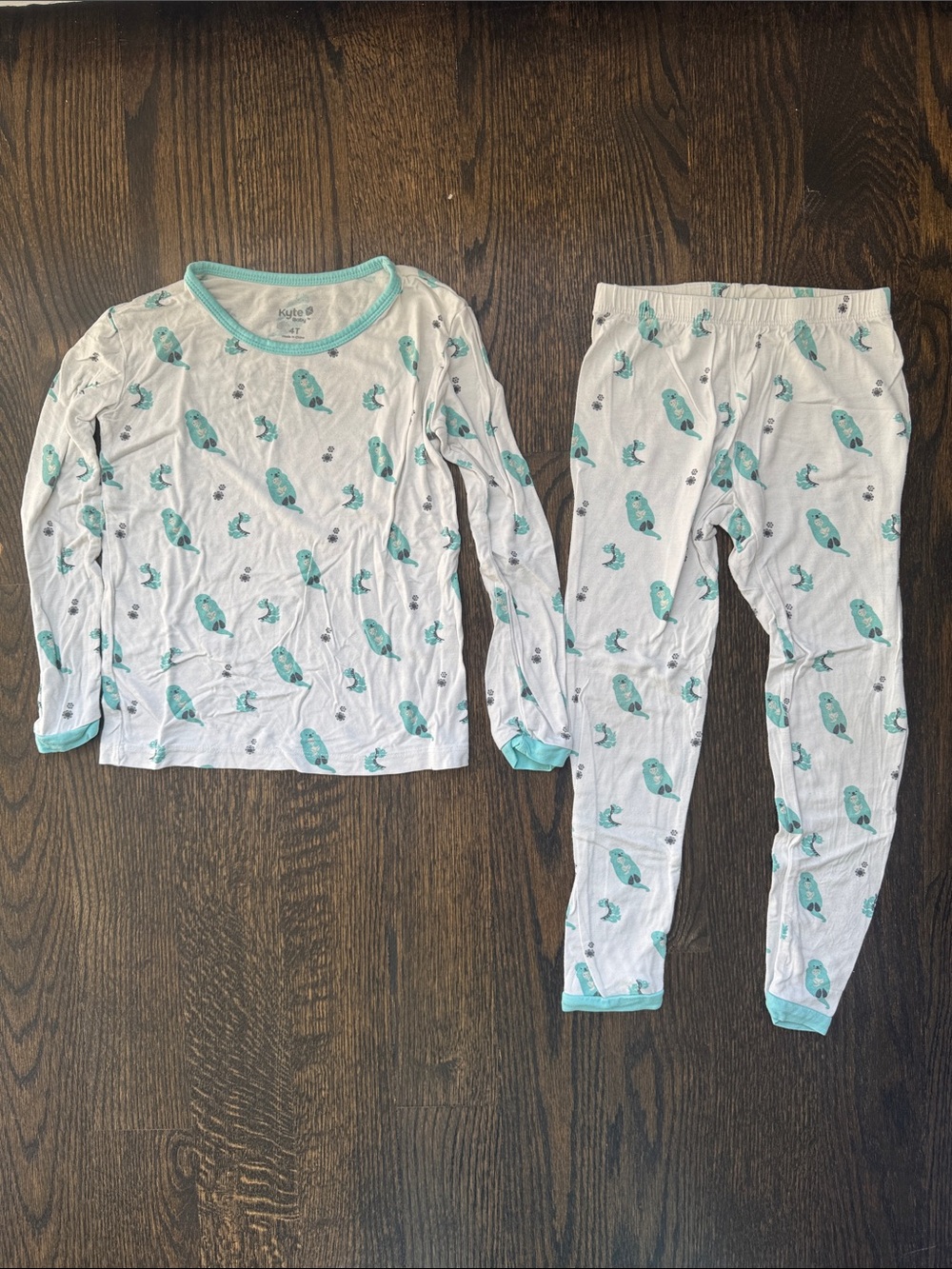 Kyte Baby Long Sleeve Pajama in Robin Cuddle - Size 4T